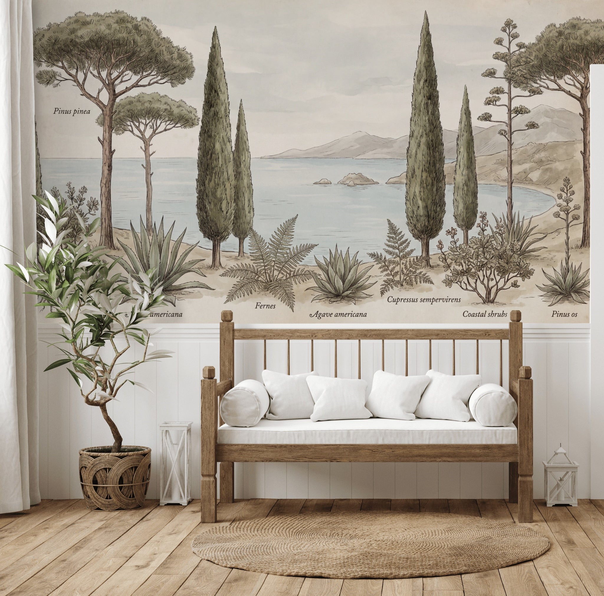 Mediterranean Coast Wallpaper Botanical Illustration Vintage Naturalist Plate Wall Mural