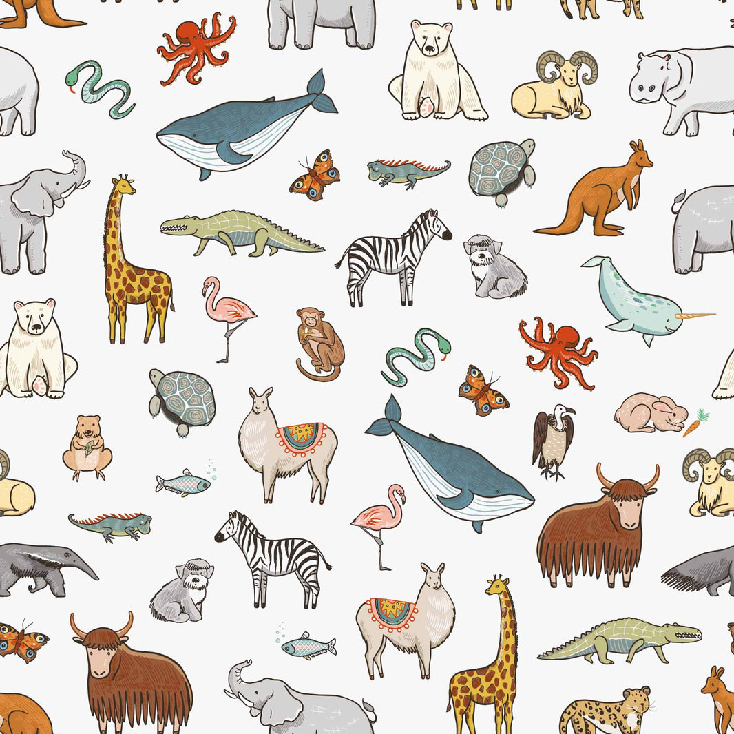 White Multicolor Cartoon Animal Kids Wallpaper pattern artwork