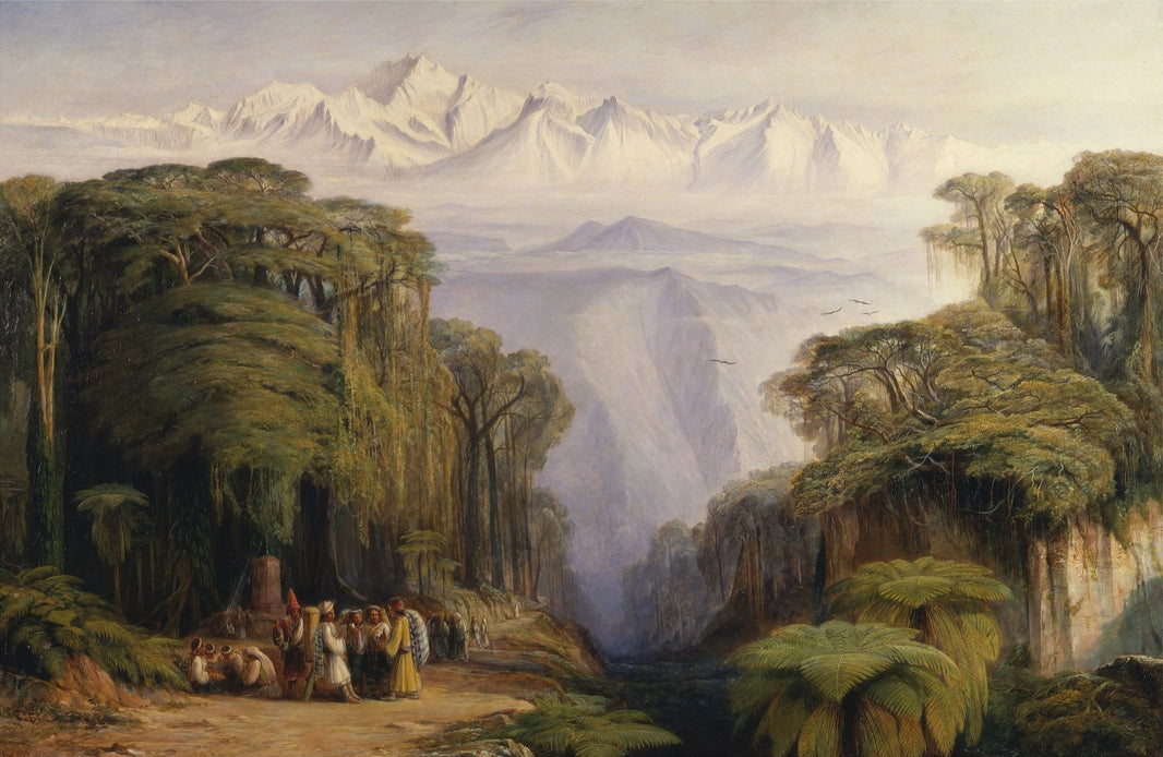 Mountain Clearing Landscape Wall Mural pattern artwork