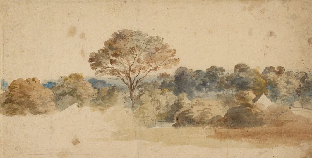 Beige Vintage Landscape Nature Wall Mural pattern artwork
