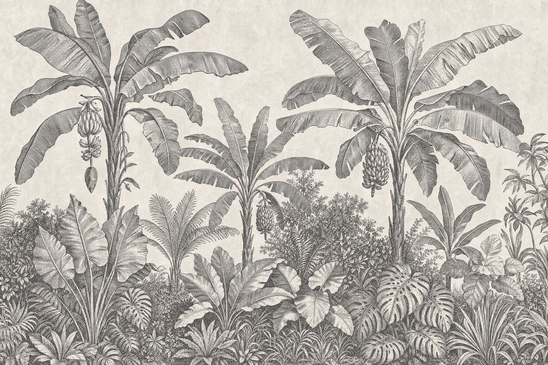 Tropical Jungle Wallpaper Banana Trees Botanical Engraving Wall Mural pattern artwork