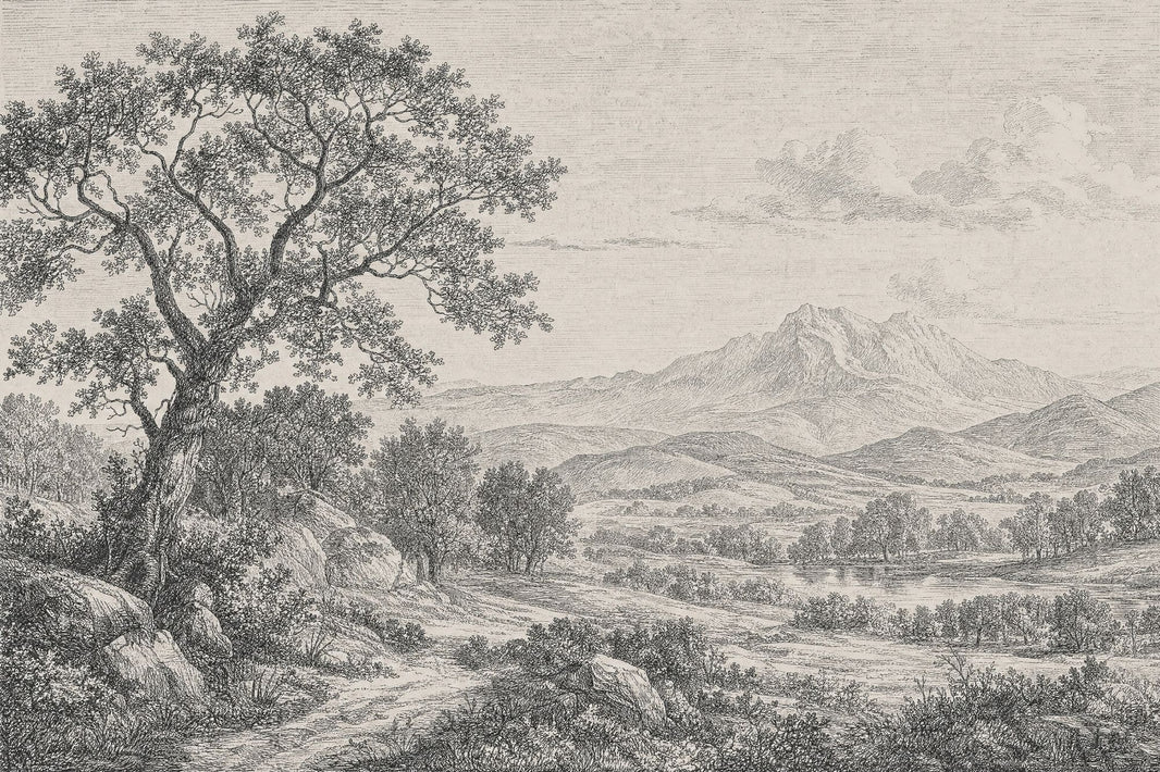 Vintage Landscape Wallpaper Engraving Removable Tree Foreground Wall Decor pattern artwork