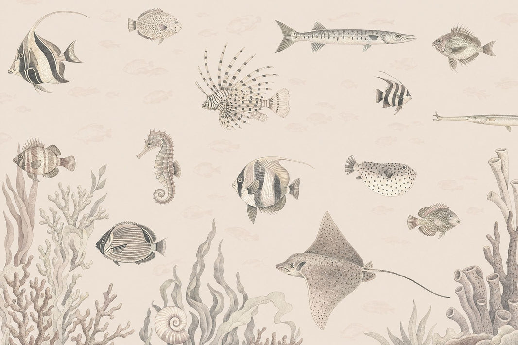 Marine Life Wallpaper Coastal Vintage Wall Mural pattern artwork