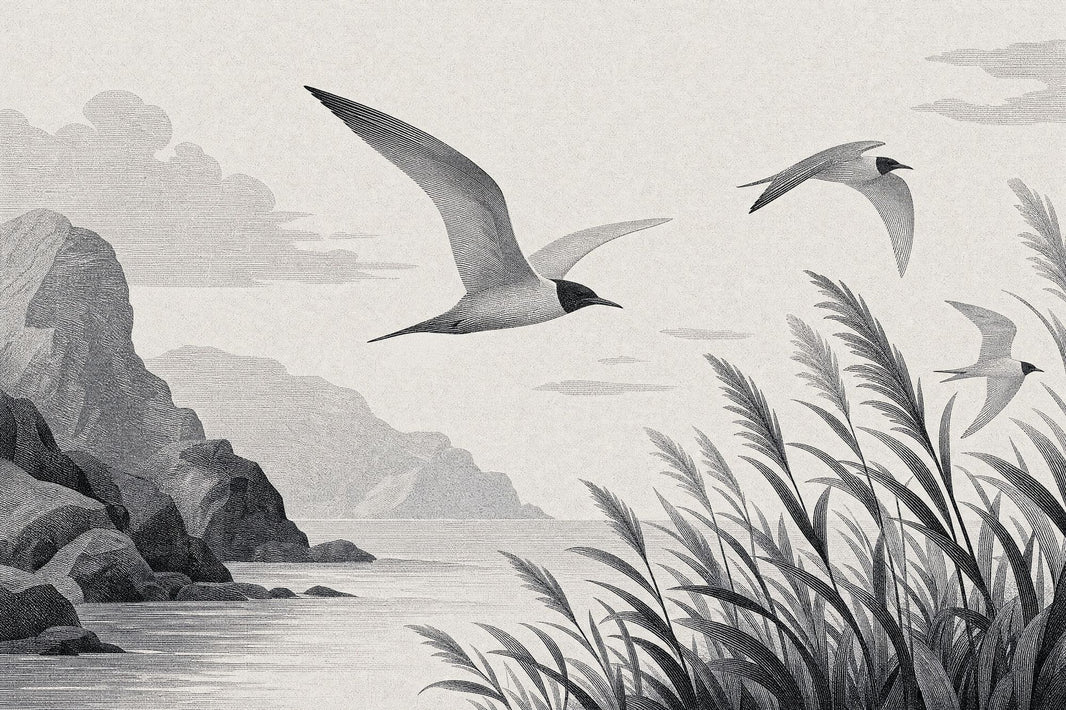 Coastal Landscape Wallpaper Seabirds Engraving Wall Mural pattern artwork