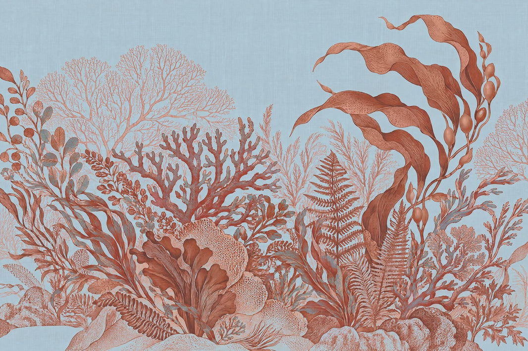 Coral And Seaweed Wallpaper Light Blue Coastal Wall Mural pattern artwork