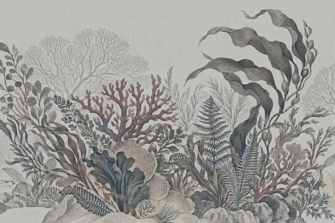 Vintage Seaweed And Coral Wallpaper Coastal Underwater Wall Mural pattern artwork