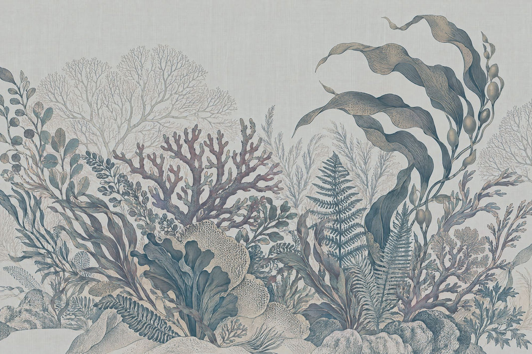 Vintage Seaweed And Coral Wallpaper Coastal Botanical Wall Mural pattern artwork