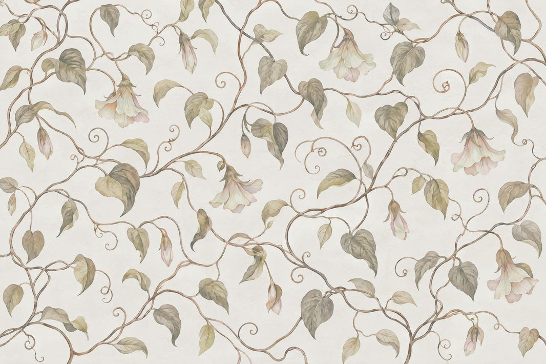 Watercolor Vines And Hanging Blooms Wallpaper White Background Wall Mural pattern artwork