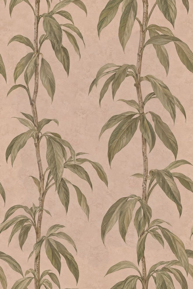 Bamboo Stems Wallpaper Sage Green Dusty Pink Botanical pattern artwork