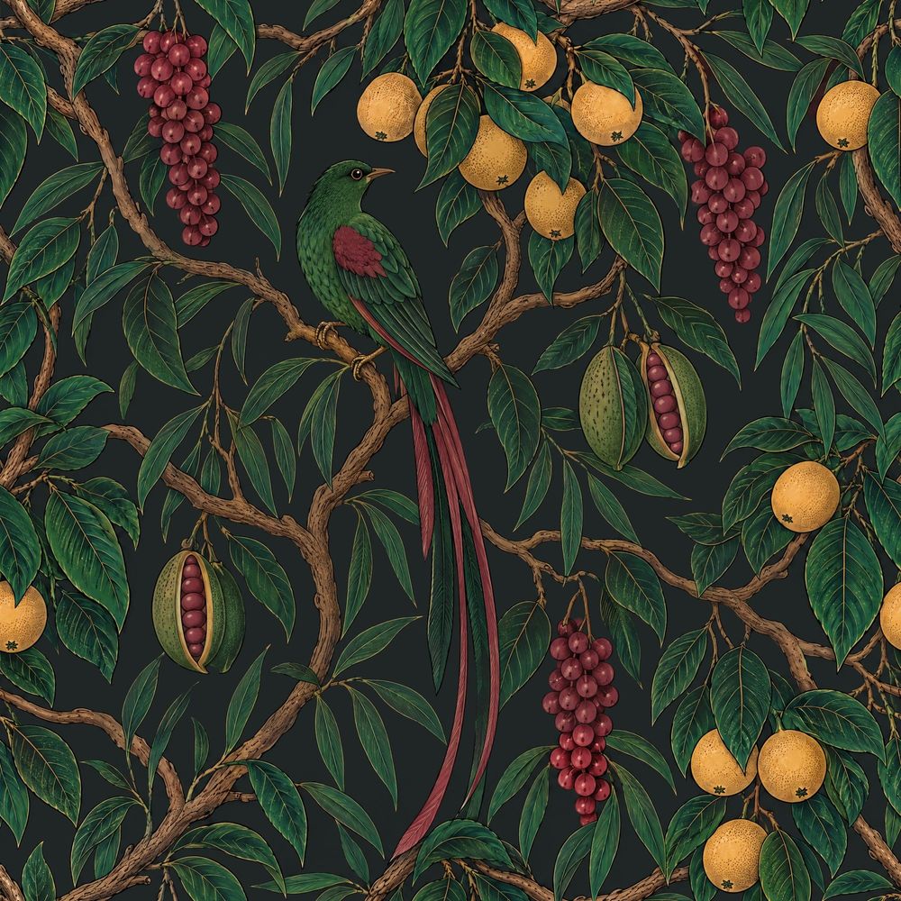 Tropical Bird And Fruit Wallpaper Dark Botanical Illustration pattern artwork