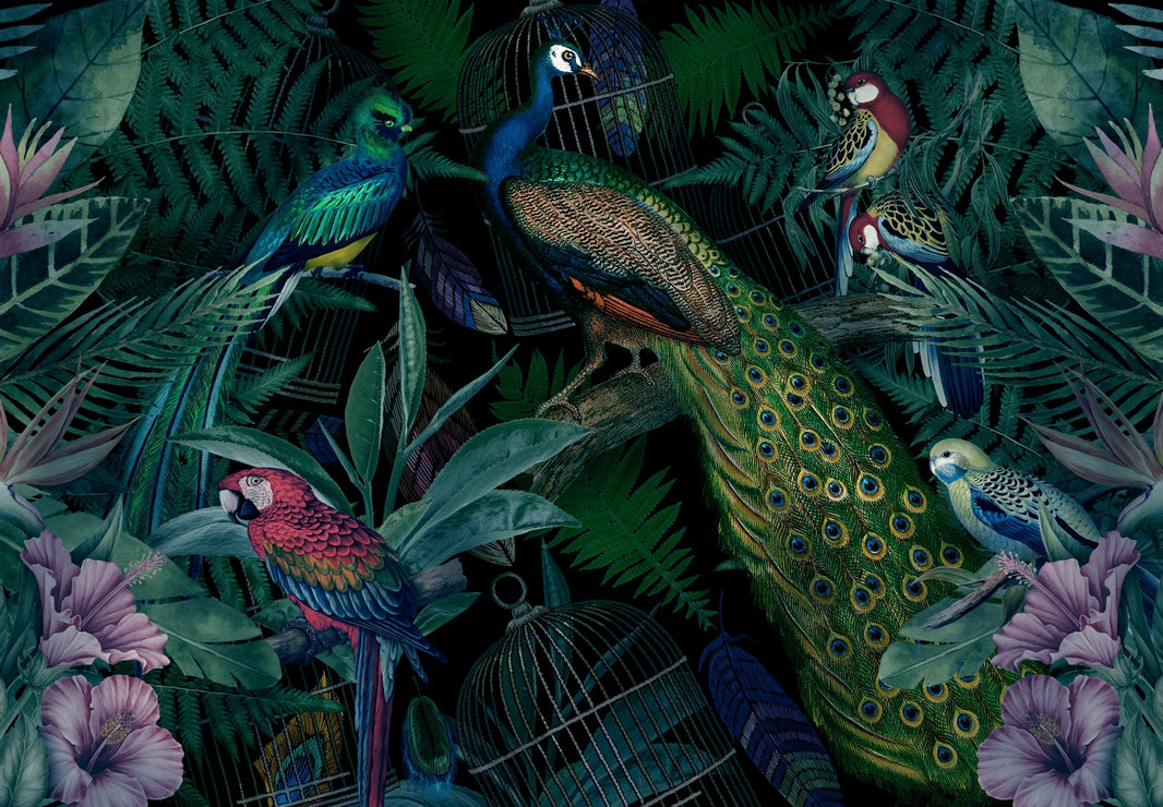 Jungle Birds Wallpaper Vibrant Botanical Wall Mural pattern artwork