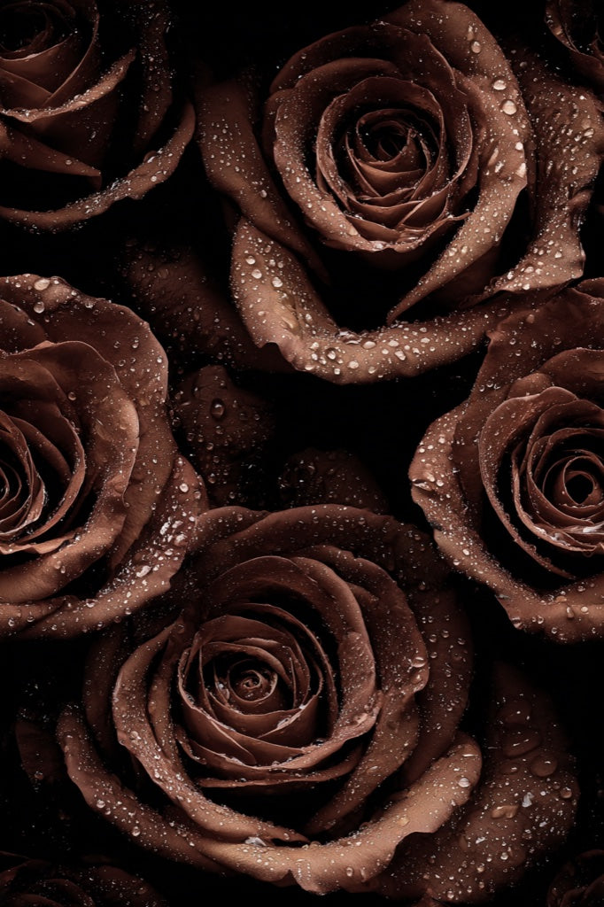 Roses Wallpaper Floral Water Droplets Decorative Mural pattern artwork