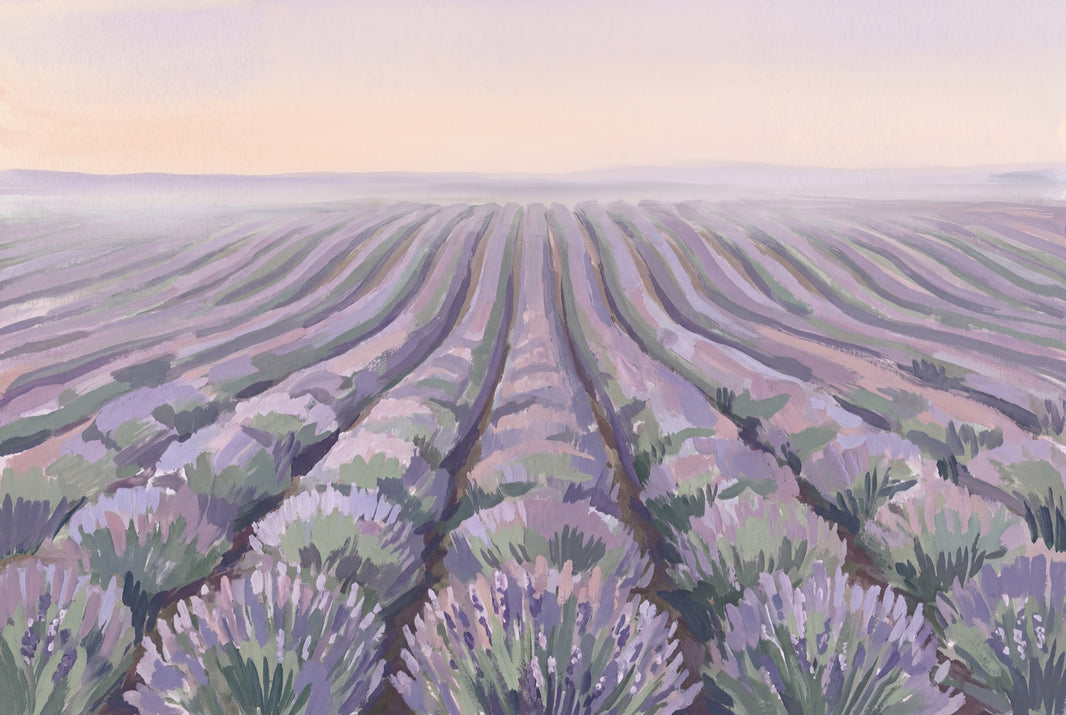 Lavender Field Wallpaper Pastel Landscape Removable Provence Inspired Wall Decor pattern artwork