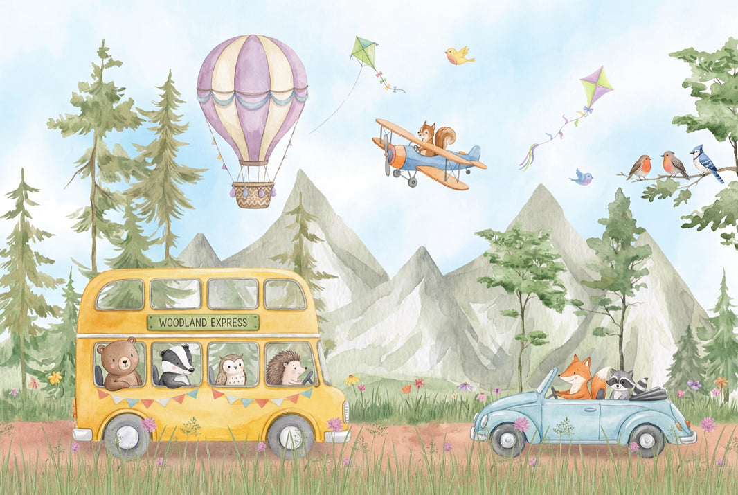 Hot Air Balloon Wallpaper Balloon Sky Removable Wall Decor pattern artwork