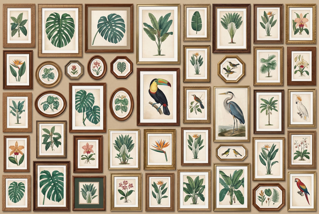 Vintage Botanical Prints Wallpaper Tropical Leaves Gallery Wall Removable Wall Decor pattern artwork