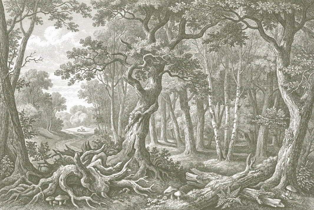 Vintage Forest Wallpaper Engraving Style Removable Woodland Landscape Wall Decor pattern artwork