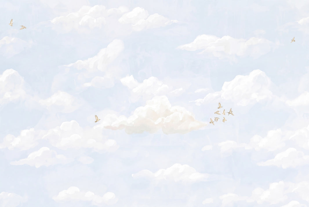Sky Wallpaper Clouds Removable Birds Wall Decor pattern artwork