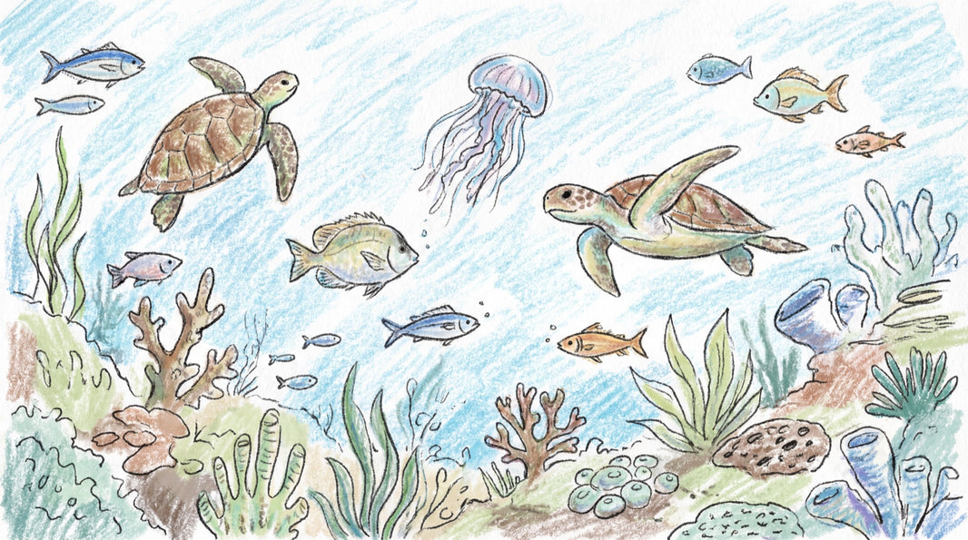 Underwater Wallpaper Marine Life Turtles Wall Mural pattern artwork