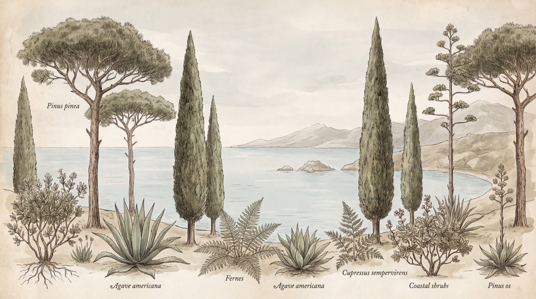 Mediterranean Coast Wallpaper Botanical Illustration Vintage Naturalist Plate Wall Mural pattern artwork