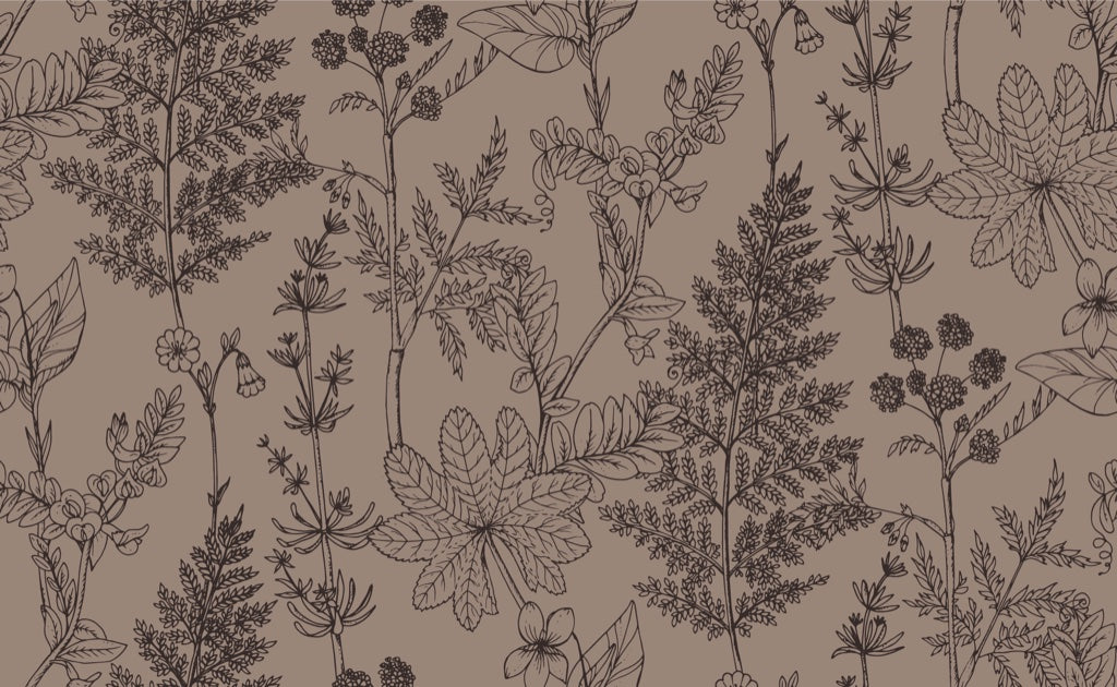 Neutral Beige Botanical Sketch Wallpaper pattern artwork