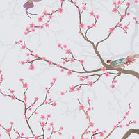 Cherry Blossom Wall Murals