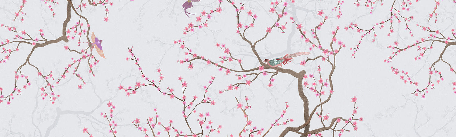 Cherry Blossom Wall Murals