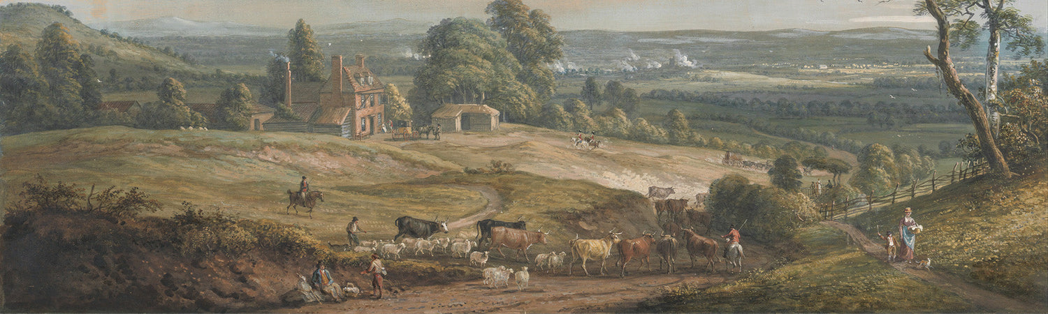 Best Seller Wall Mural