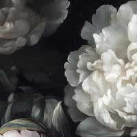 Peony Wall Murals
