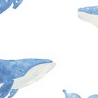 Whale Wallpaper