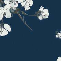 Cherry Blossom Wallpaper