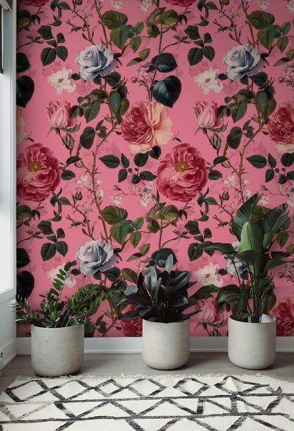 Bold Pink Romantic Rose Floral Wallpaper