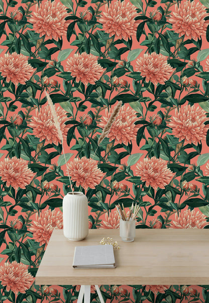Coral Chrysanthemum Botanical Floral Wallpaper