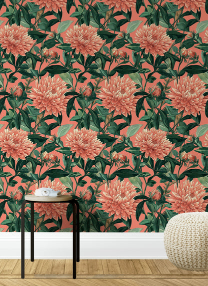 Coral Chrysanthemum Botanical Floral Wallpaper
