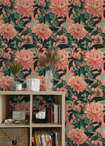 Coral Chrysanthemum Botanical Floral Wallpaper