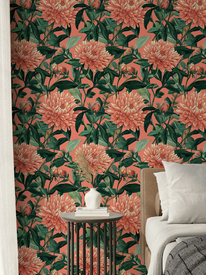 Coral Chrysanthemum Botanical Floral Wallpaper