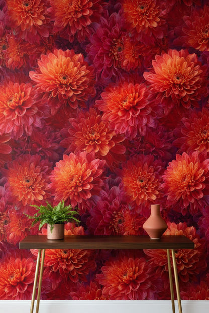 Fiery Orange and Red Chrysanthemum Floral Wallpaper