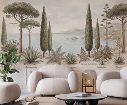 Mediterranean Coast Wallpaper Botanical Illustration Vintage Naturalist Plate Wall Mural