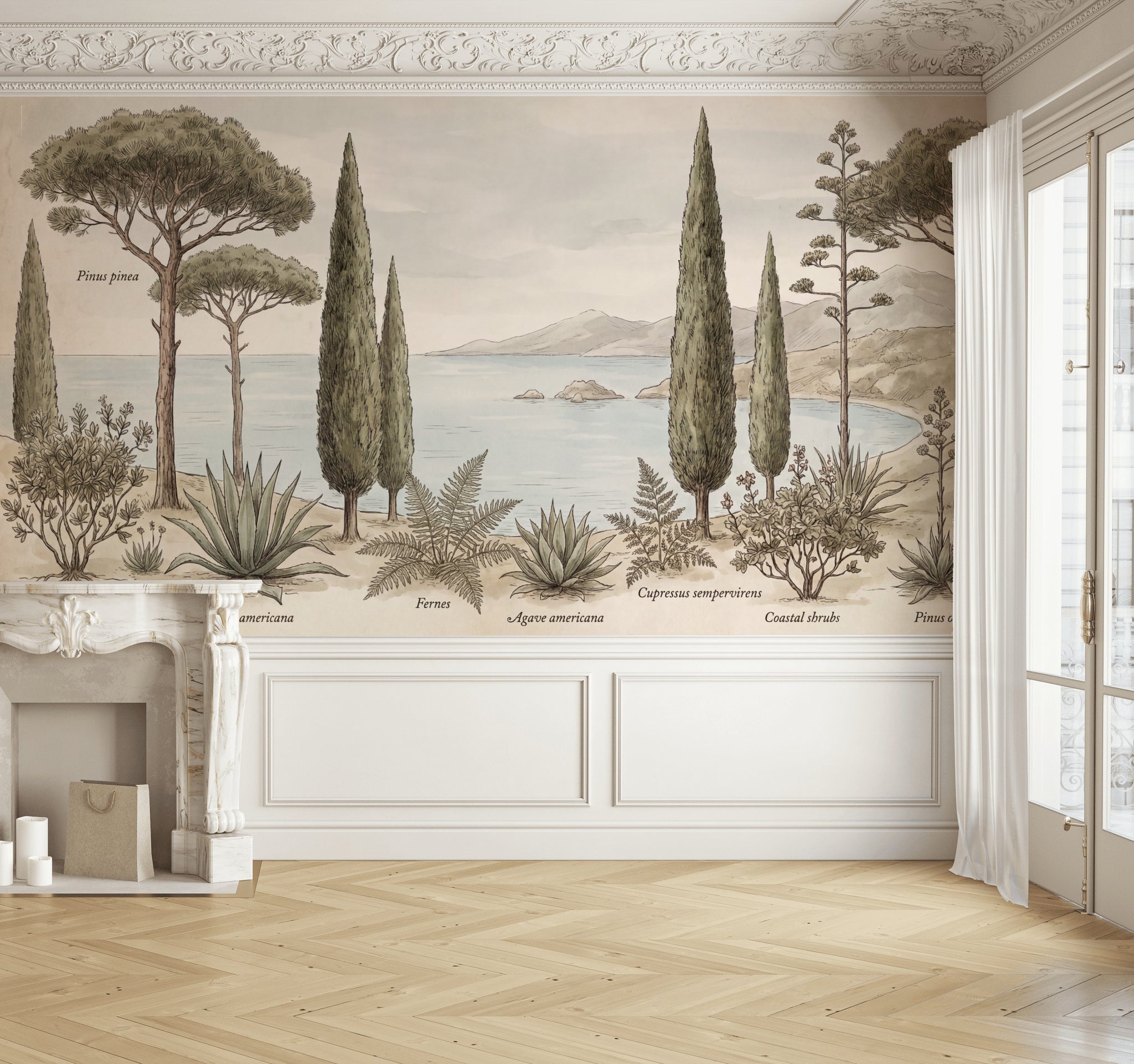 Mediterranean Coast Wallpaper Botanical Illustration Vintage Naturalist Plate Wall Mural