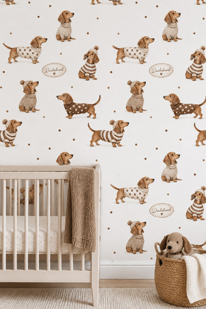 Dachshund Dogs In Knit Sweaters Wallpaper White Background