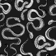 Monochrome Snake Pattern Wallpaper design