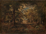 Moody Rustic Forest Landscape Wall Mural design