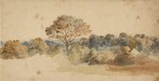 Beige Vintage Landscape Nature Wall Mural design