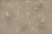 Textured Plaster Wallpaper Warm Gray Neutral Wall Mural design