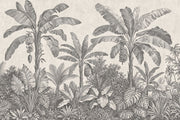 Tropical Jungle Wallpaper Banana Trees Botanical Engraving Wall Mural design