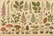 Paper Texture Wallpaper Aged Parchment Removable Botanical Wall Decor design