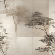 Misty Forest Wallpaper Foggy Woods Removable Wall Decor design
