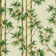 Bamboo Wallpaper Botanical Asian Inspired Removable Wall Decor design