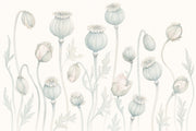 Poppy Pods Wallpaper Botanical Ivory Background Removable Wall Decor design
