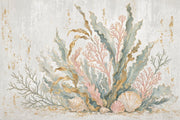 Seashells Wallpaper Coral Coastal Wall Mural design