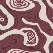 Topographic Lines Wallpaper Contour Map Geologic Strata Decorative Mural design